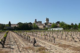 A general view of Saint-Laurent-des-Arbres