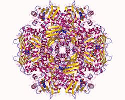 Methyltransferasen