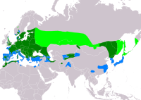 Ranges of C coccothraustes     Ko'payadi      Vaqtinchalik yashaydi      Faqat oziqlanadi