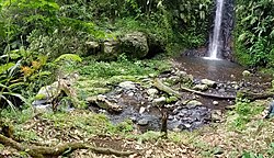 Curug Mandala