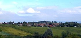 Blick auf Lavigny von Aubonne aus