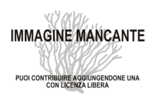 Immagine di Acanthoaxis wirtzi mancante