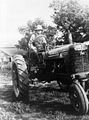 Farmall H in Iowa USA