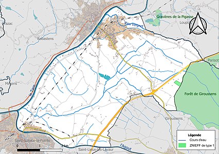 Carte de la ZNIEFF de type 1 sur la commune.