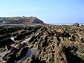 L'érosion différentielle sur la structure plissée du platier du cap Gris-Nez, est à l'origine des bancs sub-verticaux de calcaire et de grès qui forment des crêtes[18].