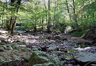 Mündung der Soor in die Hill