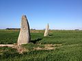 Les deux menhirs de l'alignement de Saint-Denec.