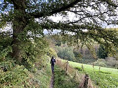 Wanderweg ins NSG Hengstener Bachtal