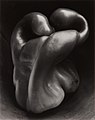 Image 1Pepper No. 30, by Edward Weston (edited by Bammesk) (from Wikipedia:Featured pictures/Artwork/Others)