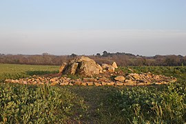 Le dolmen de Kerhenry.