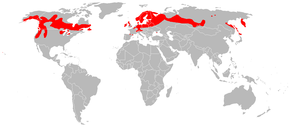 Description de l'image Drosera anglica distribution.png.