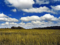 Cumulus (stapelwolk, hoopwolk)