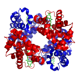 Haemoglobinum