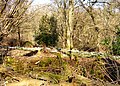 Image 17 Credit: C Hoyle Brockhill Country Park is dominated by a large grassy valley, bisected by the Brockhill Stream as it makes its way to the Royal Military Canal at Hythe. More about Brockhill Country Park... (from Portal:Kent/Selected pictures)