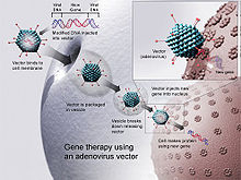 diagram showing gene therapy