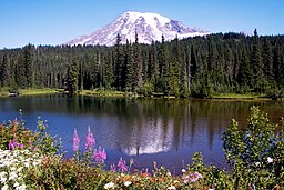 Mount Rainier med Reflection Lake i förgrunden.