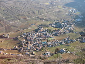 Cortaccia sulla Strada del Vino