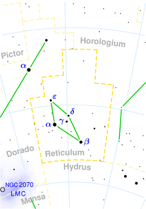 Reticulum