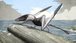 Dorygnathus