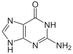 Guanine