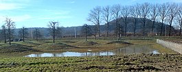 Natuurgebied Kleine Weerd langs de Maas