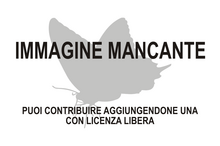 Immagine di Agathiphaga mancante