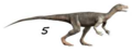 Nyasasaurus