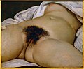 Gustavus Courbet L’Origine du monde