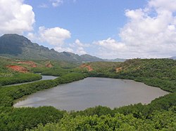 Photo of woods-surrounded pond