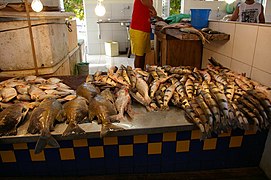 Variedades de peixes em uma feira de Manaus.