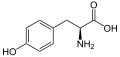 L-Tyrosine (Tyr / Y)