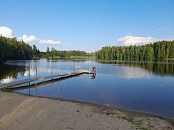 Viitalampi heinäkuussa 2024 uimarannalta nähtynä.