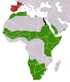 Verde - nativo, vermelho - extante introduzido, preto - extinto introduzido