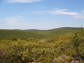 Mount Frissell, on which is located Connecticut's highest elevation, as seen from Bear Mountain