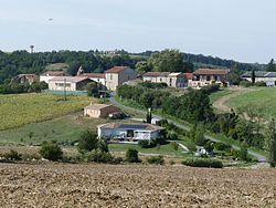 Skyline of Rieumajou