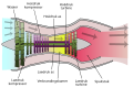 Turbofan operation lbp-af.svg