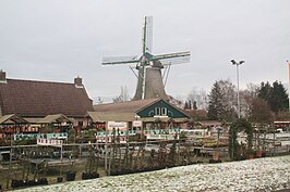 Zeldenrust, januari 2009