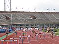 Image 28A women's 400 m hurdles race at the 2007 Dutch Championships (from Track and field)