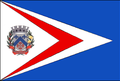 Bandeira de Fernão