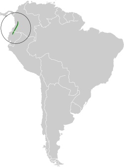 Distribución geográfica del brillante emperador