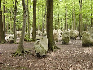 Findlingswald, bosperceel bij Neuenknick waar men vanaf 1976 een groot aantal zwerfstenen uit de wijde omgeving heeft verzameld