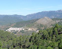 An overview of Cotillas.