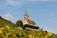 Am Bielersee