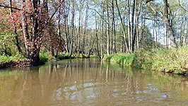 Roztoczański Park Narodowy