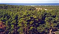 The eastern coast seen from the lighthouse