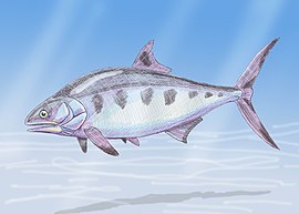 Hypsocormus