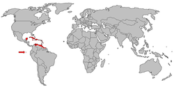 Distribución de Phoenicopterus ruber, de rojo los lugares donde habita permanentemente, de amarillo los lugares donde fueron reintroducidos y de naranja los lugares donde habitan por temporadas.