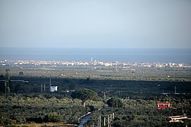 Bisceglie depuis la Pineta à Ruvo di Puglia - la plaine côtière plantée d'oliviers.