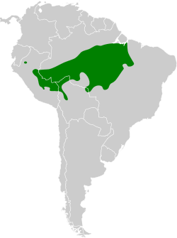 Distribución geográfica del hormiguerito ojiblanco.