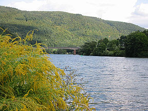 Die Neckar naby Heidelberg.